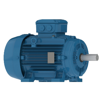 Hazardous Duty Motors